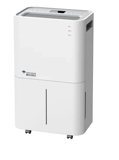 家用空气除湿机 Roomer Eco 25 
