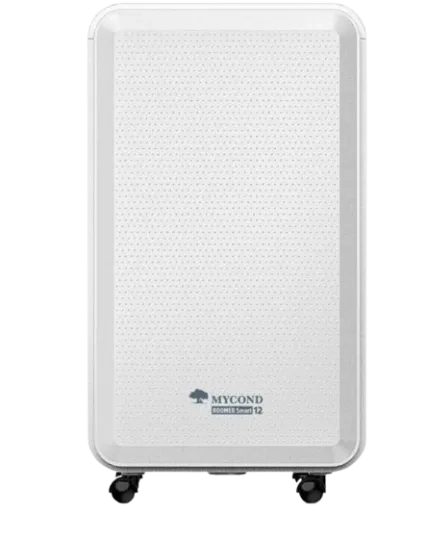 家用空气除湿机 Roomer Smart 12 