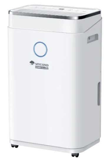 家用空气除湿机 Roomer Smart 25 